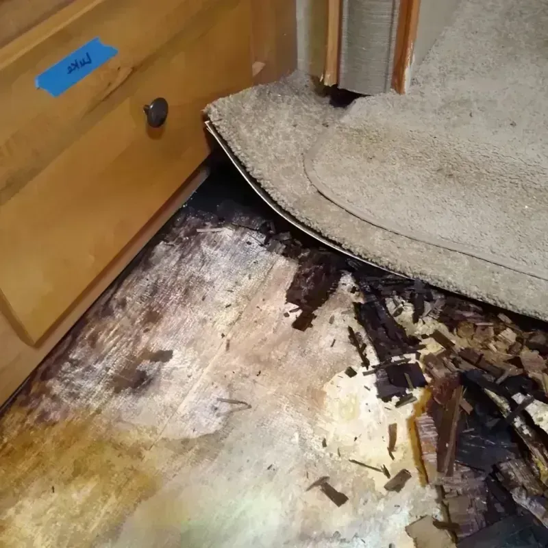 Wood Floor Water Damage in Hennepin, IL